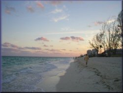 Bahamas Vacation Specials